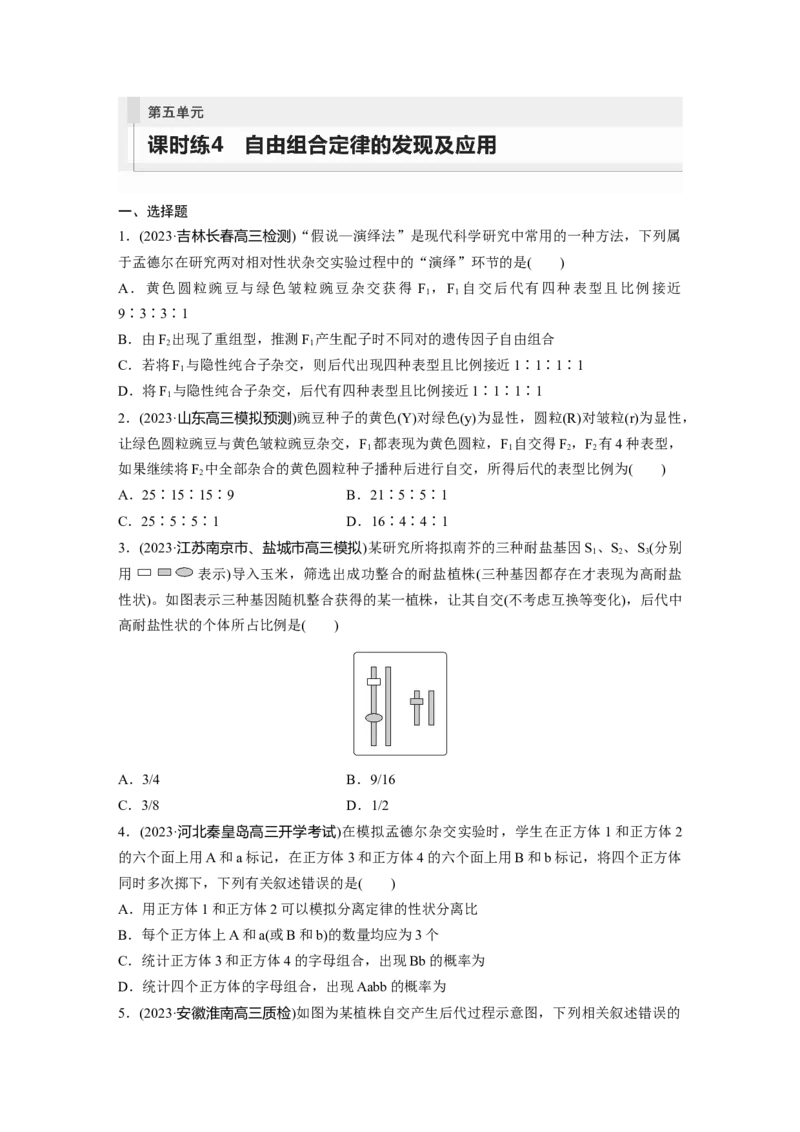 第5单元　课时练4　自由组合定律的发现及应用_2024年新高考资料_1.2024一轮复习_2024年高考生物一轮复习讲义（新人教版）_学生版在此文件夹_一轮复习69练_第五单元　基因的传递规律