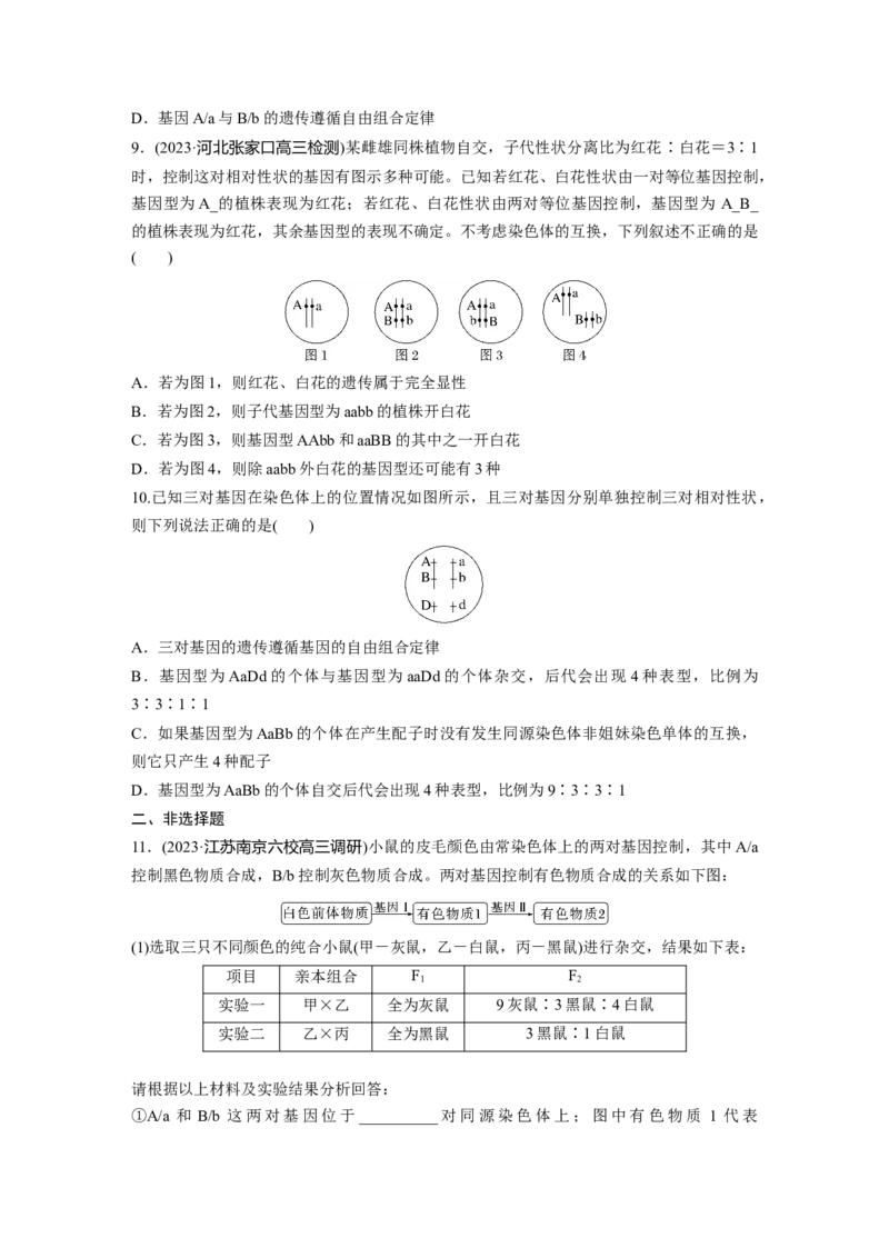 第5单元　课时练4　自由组合定律的发现及应用_2024年新高考资料_1.2024一轮复习_2024年高考生物一轮复习讲义（新人教版）_学生版在此文件夹_一轮复习69练_第五单元　基因的传递规律