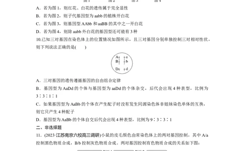 第5单元　课时练4　自由组合定律的发现及应用_2024年新高考资料_1.2024一轮复习_2024年高考生物一轮复习讲义（新人教版）_学生版在此文件夹_一轮复习69练_第五单元　基因的传递规律