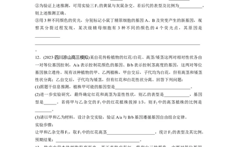 第5单元　课时练4　自由组合定律的发现及应用_2024年新高考资料_1.2024一轮复习_2024年高考生物一轮复习讲义（新人教版）_学生版在此文件夹_一轮复习69练_第五单元　基因的传递规律