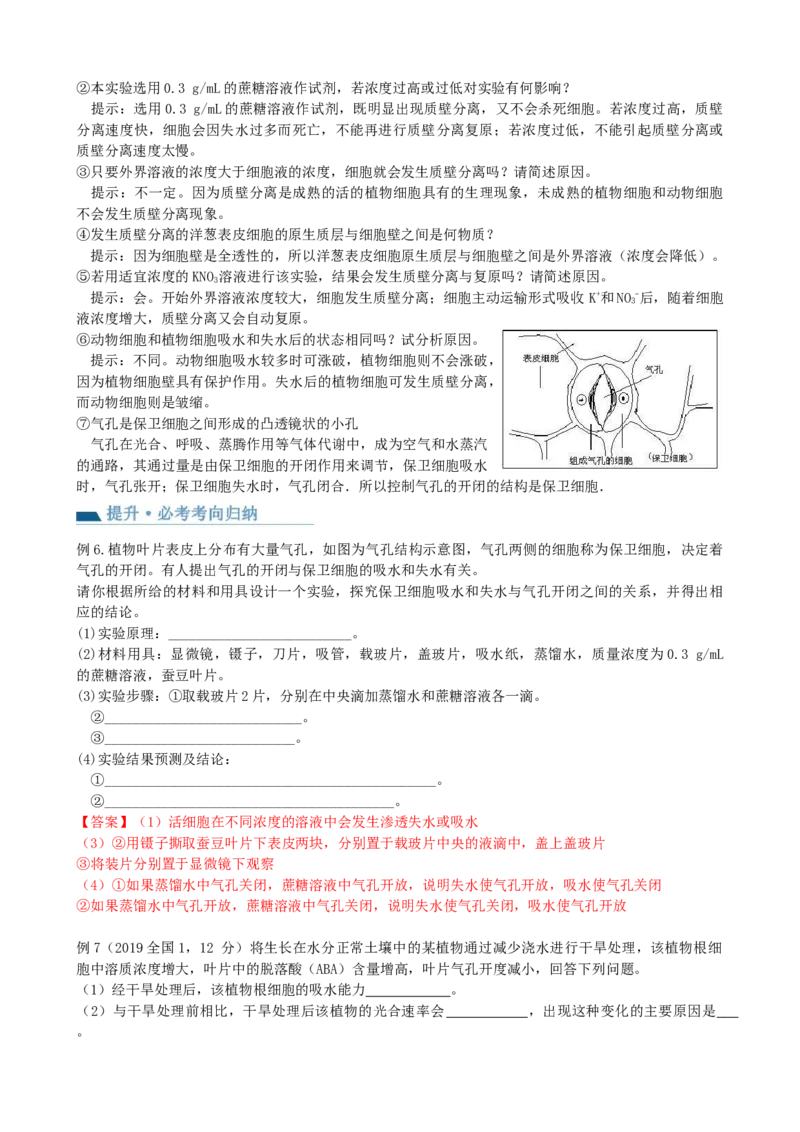 第7讲物质运输（讲义）（教师版）_2024年新高考资料_1.2024一轮复习_2024年高考生物一轮复习讲练测（新教材新高考）