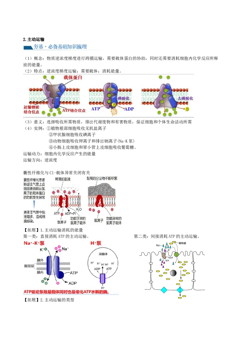 第7讲物质运输（讲义）（教师版）_2024年新高考资料_1.2024一轮复习_2024年高考生物一轮复习讲练测（新教材新高考）
