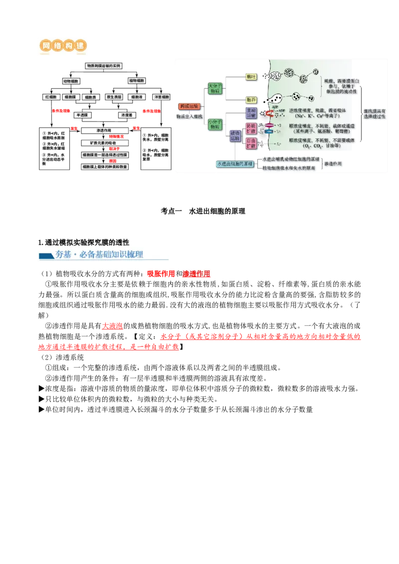 第7讲物质运输（讲义）（教师版）_2024年新高考资料_1.2024一轮复习_2024年高考生物一轮复习讲练测（新教材新高考）