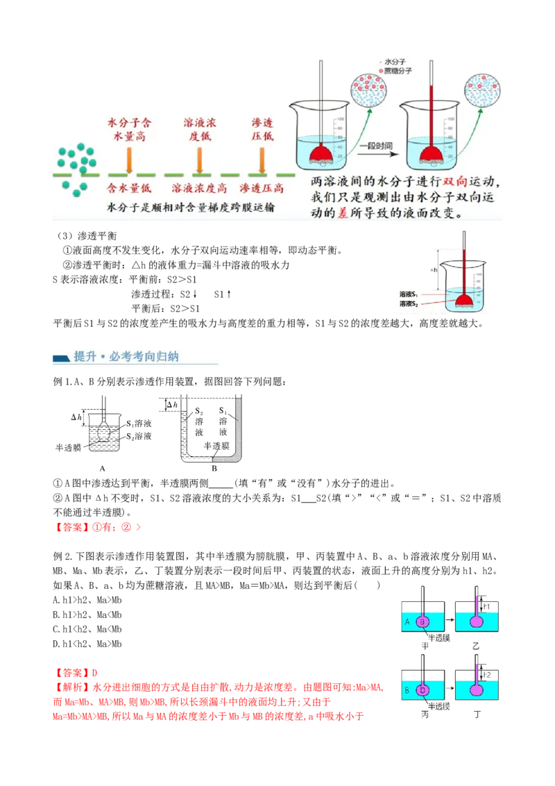 第7讲物质运输（讲义）（教师版）_2024年新高考资料_1.2024一轮复习_2024年高考生物一轮复习讲练测（新教材新高考）