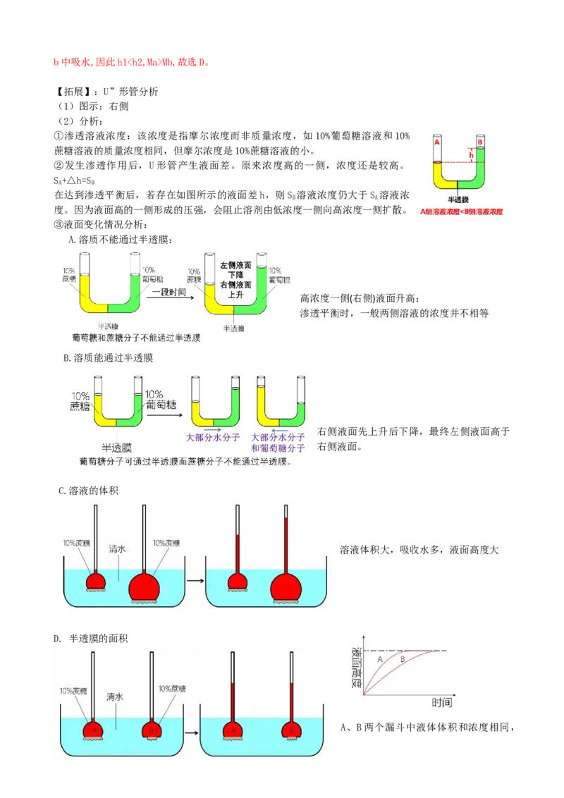 第7讲物质运输（讲义）（教师版）_2024年新高考资料_1.2024一轮复习_2024年高考生物一轮复习讲练测（新教材新高考）