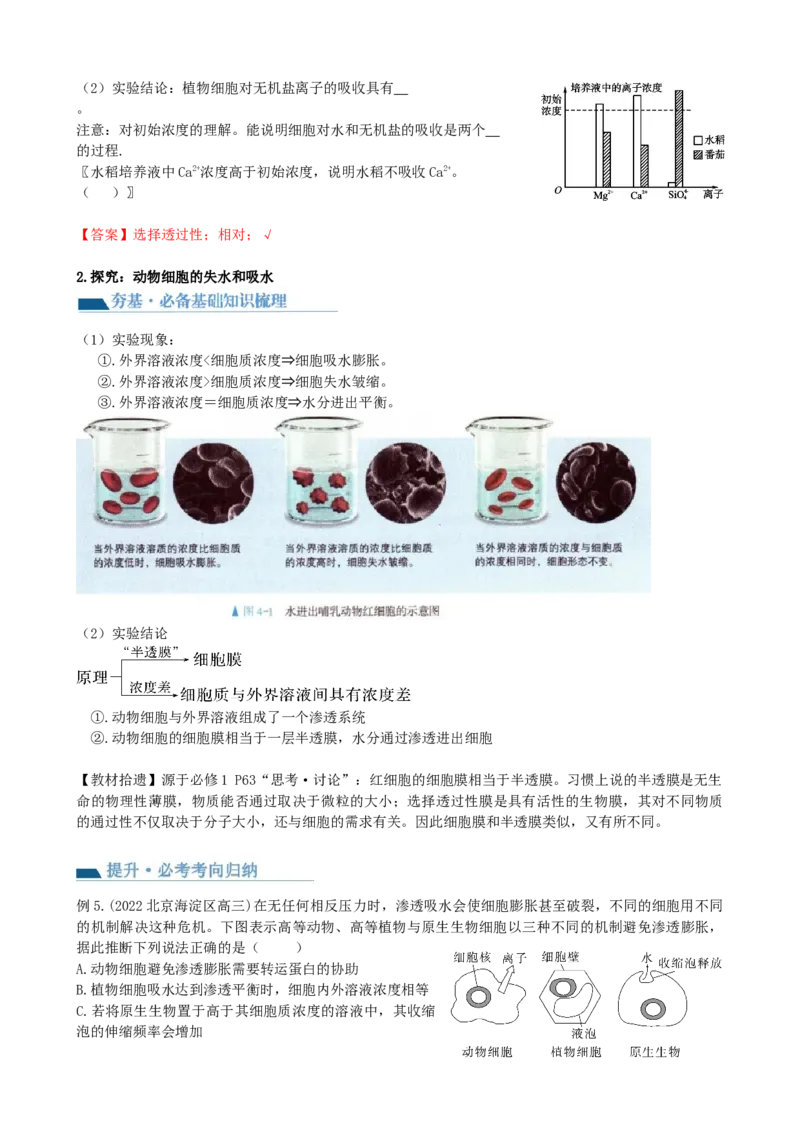 第7讲物质运输（讲义）（教师版）_2024年新高考资料_1.2024一轮复习_2024年高考生物一轮复习讲练测（新教材新高考）