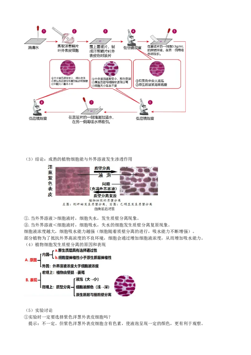 第7讲物质运输（讲义）（教师版）_2024年新高考资料_1.2024一轮复习_2024年高考生物一轮复习讲练测（新教材新高考）