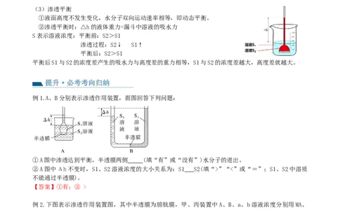 第7讲物质运输（讲义）（教师版）_2024年新高考资料_1.2024一轮复习_2024年高考生物一轮复习讲练测（新教材新高考）