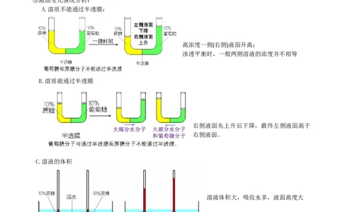 第7讲物质运输（讲义）（教师版）_2024年新高考资料_1.2024一轮复习_2024年高考生物一轮复习讲练测（新教材新高考）