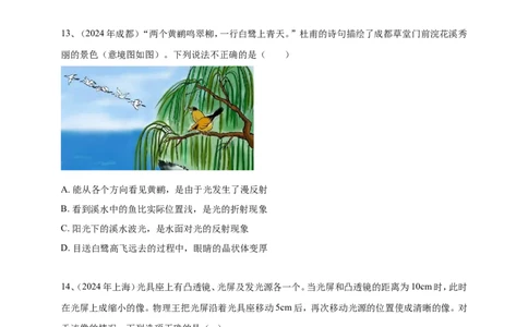 2024年中考物理分类汇编---透镜及其应用_8、物理总复习_2025年中考复习资料_备考20252024年中考物理真题分类汇编（原卷版+解析版）_4、透镜及其应用