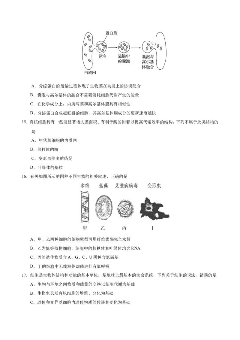 专题01细胞的分子组成和结构-备战2019年高考生物之纠错笔记系列（原卷版）_新高考复习资料_2022年新高考复习资料_2022年一轮复习最新版_1.2022年高考生物一轮复习全国通用版