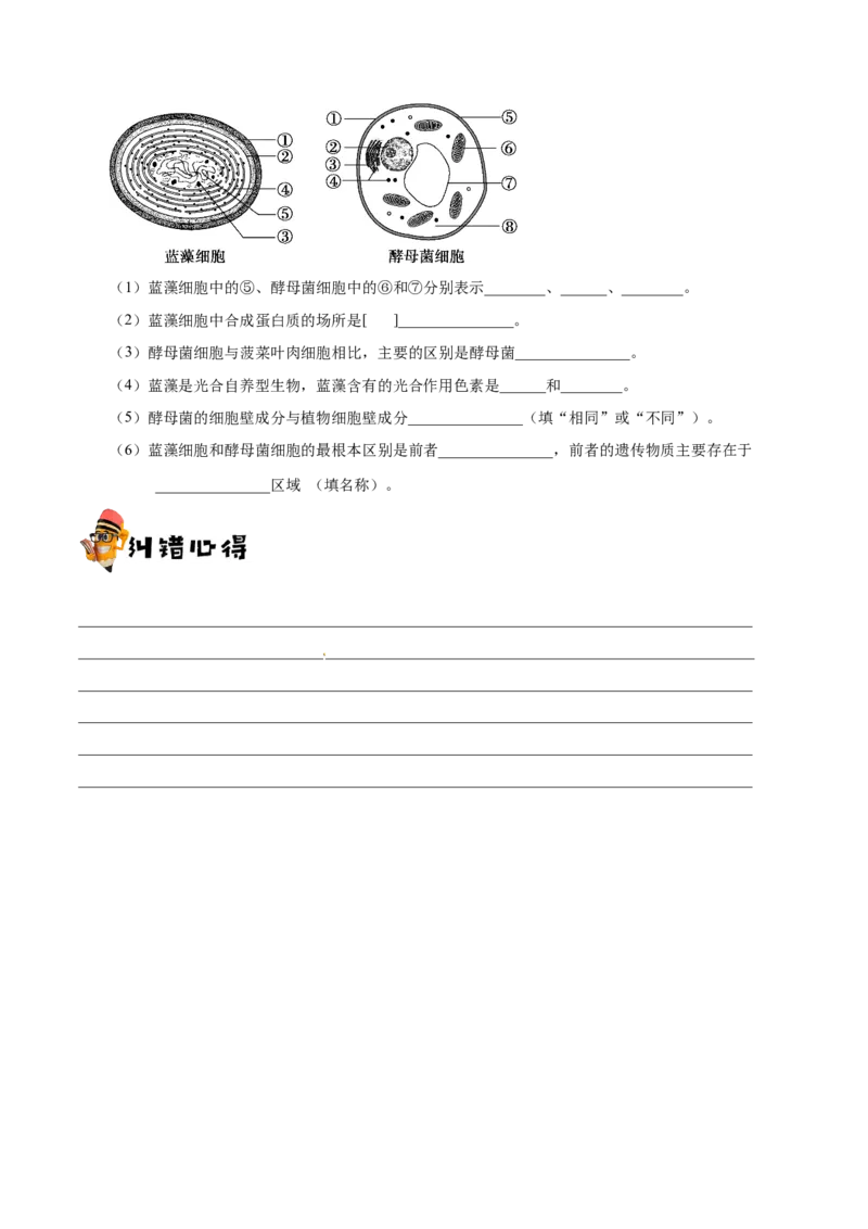 专题01细胞的分子组成和结构-备战2019年高考生物之纠错笔记系列（原卷版）_新高考复习资料_2022年新高考复习资料_2022年一轮复习最新版_1.2022年高考生物一轮复习全国通用版