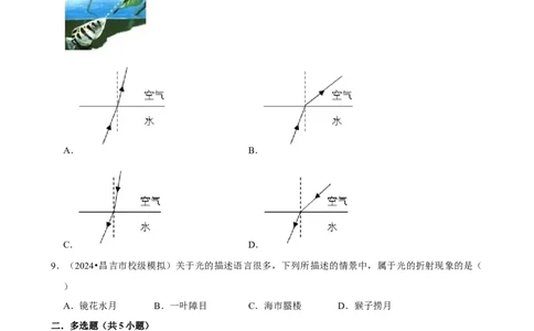 2025年中考物理复习难题速递之光现象辨析_8、物理总复习_2025年中考复习资料_2025年中考物理复习难题速递