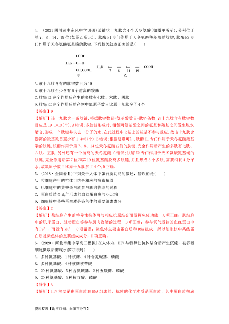 专题03蛋白质和核酸（精练）（解析版）_新高考复习资料_2024年新高考复习资料_一轮复习资料_完备战2024年高考生物一轮复习串讲精练（新高考专用）_精练_解析版