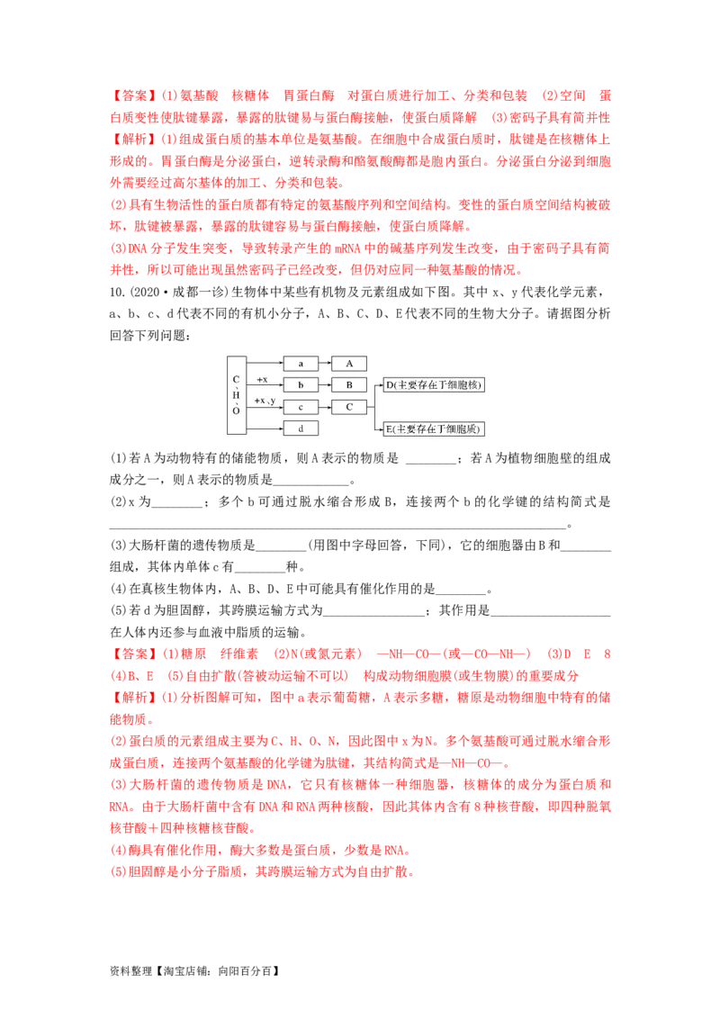 专题03蛋白质和核酸（精练）（解析版）_新高考复习资料_2024年新高考复习资料_一轮复习资料_完备战2024年高考生物一轮复习串讲精练（新高考专用）_精练_解析版