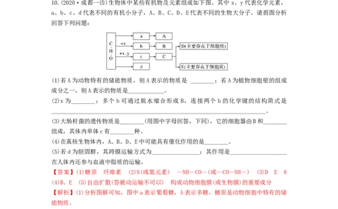 专题03蛋白质和核酸（精练）（解析版）_新高考复习资料_2024年新高考复习资料_一轮复习资料_完备战2024年高考生物一轮复习串讲精练（新高考专用）_精练_解析版