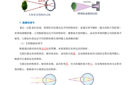 5.4眼睛和眼镜（导学案）-（人教版）教师版_初物_八年级上下册+九年级全一册物理_八年级物理上册_老课标资料_导学案