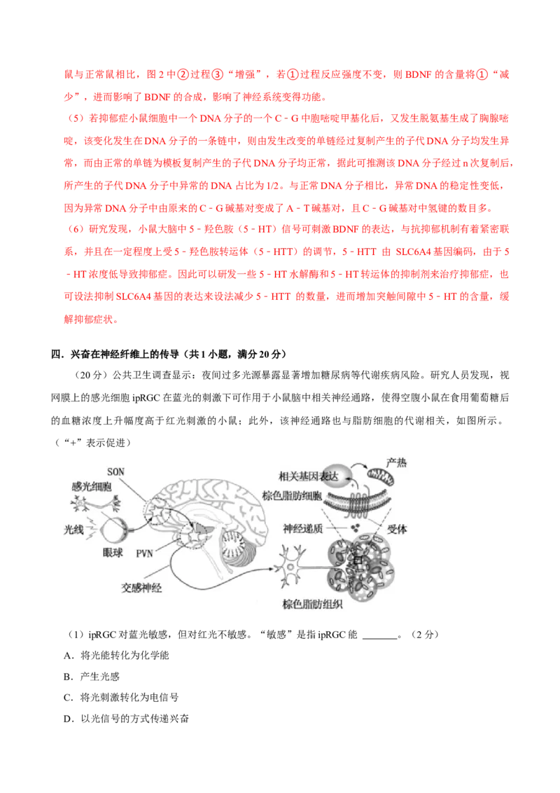 黄金卷02（解析版）-赢在高考&middot;黄金8卷备战2024年高考生物模拟卷（上海专用）_2024年新高考资料_4.2024高考模拟预测试卷