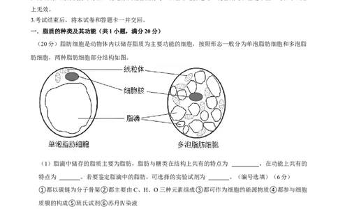 黄金卷02（解析版）-赢在高考&middot;黄金8卷备战2024年高考生物模拟卷（上海专用）_2024年新高考资料_4.2024高考模拟预测试卷