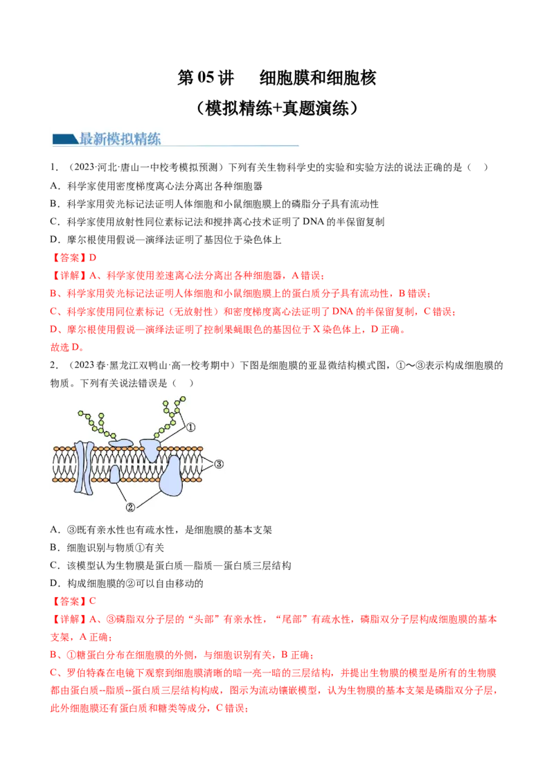 第5讲细胞膜和细胞核（练习）（解析版）_2024年新高考资料_1.2024一轮复习_2024年高考生物一轮复习讲练测（新教材新高考）