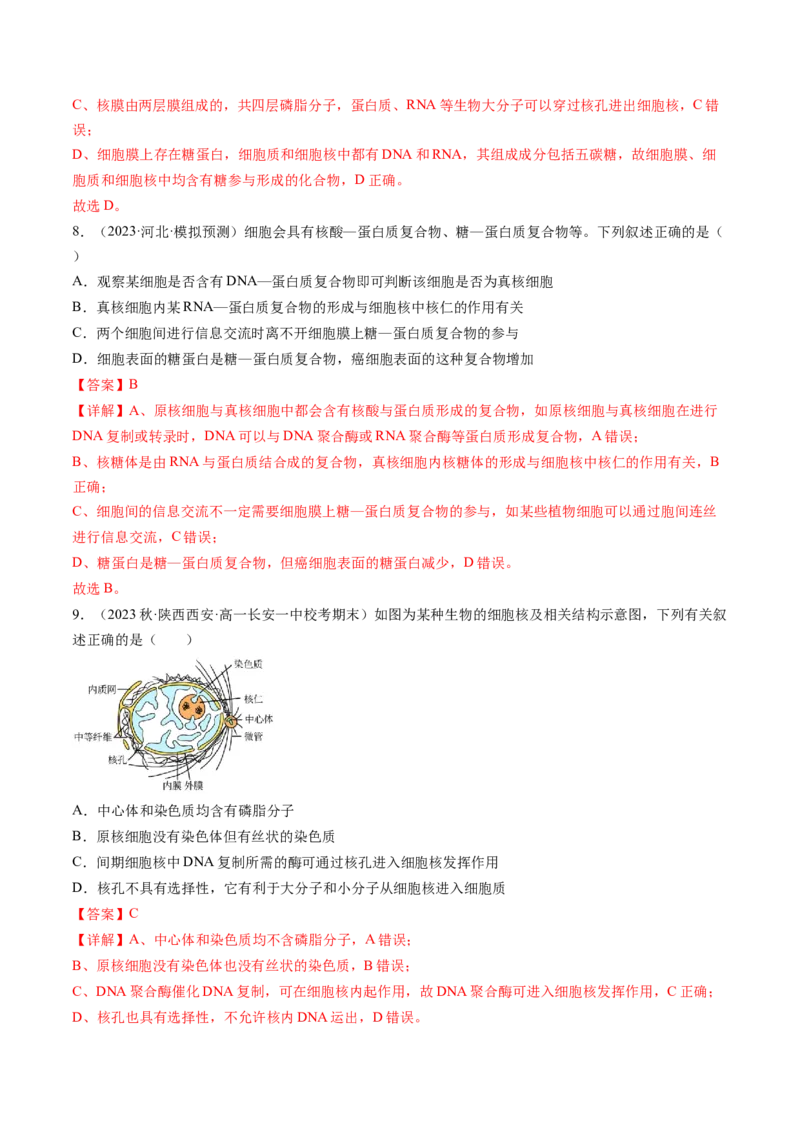 第5讲细胞膜和细胞核（练习）（解析版）_2024年新高考资料_1.2024一轮复习_2024年高考生物一轮复习讲练测（新教材新高考）