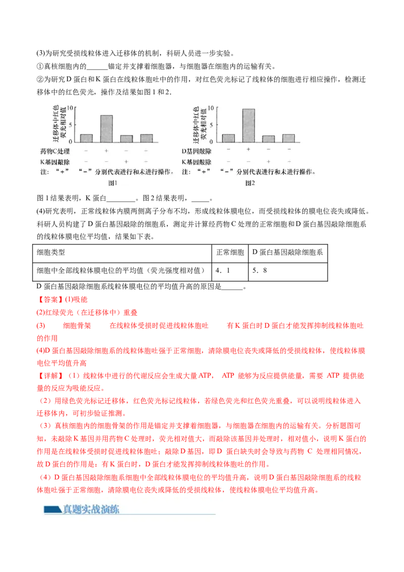 第5讲细胞膜和细胞核（练习）（解析版）_2024年新高考资料_1.2024一轮复习_2024年高考生物一轮复习讲练测（新教材新高考）