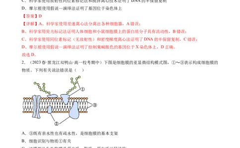 第5讲细胞膜和细胞核（练习）（解析版）_2024年新高考资料_1.2024一轮复习_2024年高考生物一轮复习讲练测（新教材新高考）
