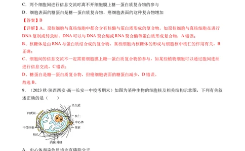 第5讲细胞膜和细胞核（练习）（解析版）_2024年新高考资料_1.2024一轮复习_2024年高考生物一轮复习讲练测（新教材新高考）