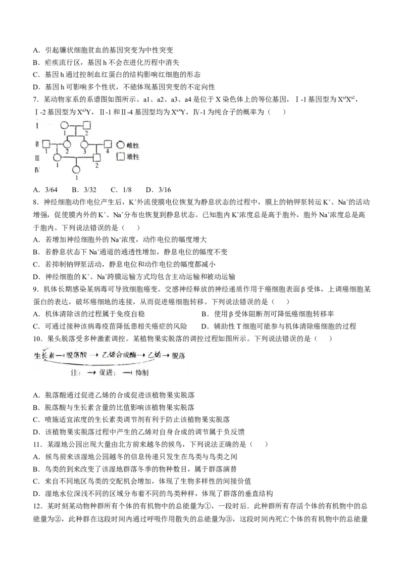 2025年山东生物高考试题（word版）_历年全国高考真题_2025全国各省高考真题+答案_山东卷_生物