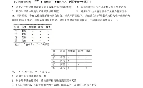 2025年山东生物高考试题（word版）_历年全国高考真题_2025全国各省高考真题+答案_山东卷_生物