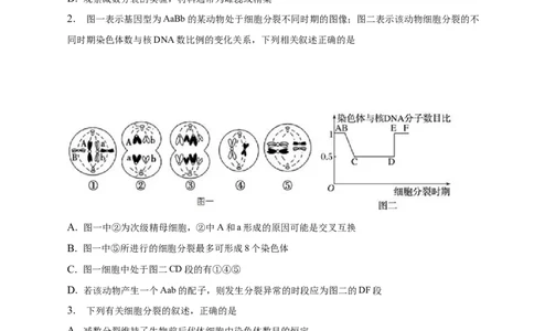 专题06减数分裂及受精作用（测试卷）-2023年高考生物二轮复习讲练测（全国通用）（原卷版）_通用版（老高考）复习资料_2023年复习资料_二轮复习