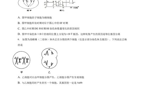专题06减数分裂及受精作用（测试卷）-2023年高考生物二轮复习讲练测（全国通用）（原卷版）_通用版（老高考）复习资料_2023年复习资料_二轮复习