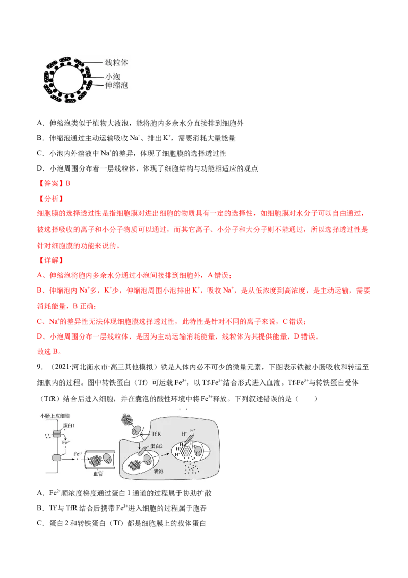 专题02物质进出细胞、酶和ATP-2021年高考真题和模拟题生物分项汇编（解析版）_新高考复习资料_2022年新高考复习资料_2021年高考真题和模拟题生物分项汇编7.30更新