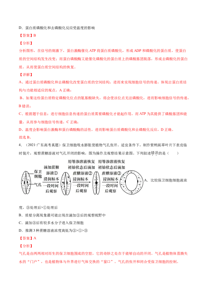 专题02物质进出细胞、酶和ATP-2021年高考真题和模拟题生物分项汇编（解析版）_新高考复习资料_2022年新高考复习资料_2021年高考真题和模拟题生物分项汇编7.30更新