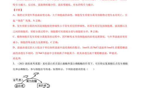 专题02物质进出细胞、酶和ATP-2021年高考真题和模拟题生物分项汇编（解析版）_新高考复习资料_2022年新高考复习资料_2021年高考真题和模拟题生物分项汇编7.30更新