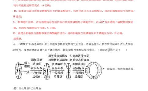 专题02物质进出细胞、酶和ATP-2021年高考真题和模拟题生物分项汇编（解析版）_新高考复习资料_2022年新高考复习资料_2021年高考真题和模拟题生物分项汇编7.30更新
