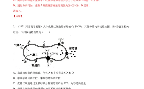 专题02物质进出细胞、酶和ATP-2021年高考真题和模拟题生物分项汇编（解析版）_新高考复习资料_2022年新高考复习资料_2021年高考真题和模拟题生物分项汇编7.30更新