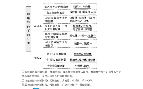 专题05细胞器和生物膜系统（串讲）（解析版）_新高考复习资料_2024年新高考复习资料_一轮复习资料_完备战2024年高考生物一轮复习串讲精练（新高考专用）_串讲_解析版