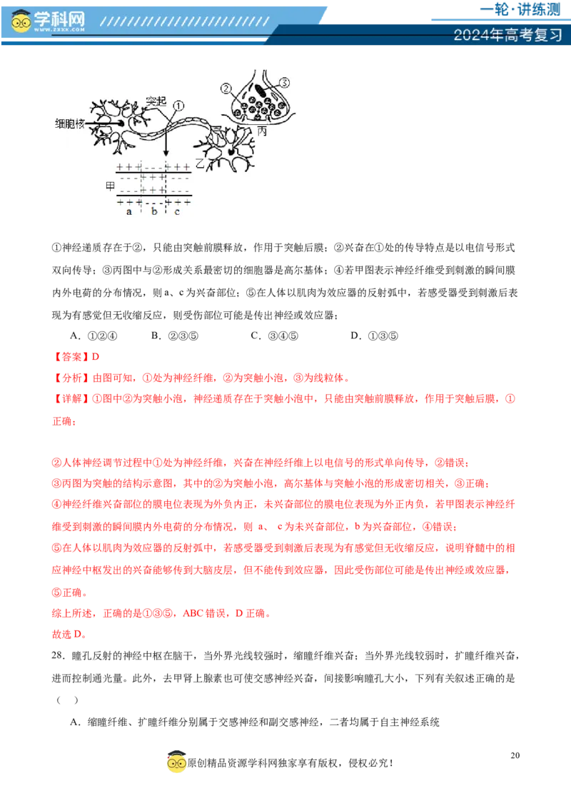 第八单元稳态与调节（测试）（解析版）_2024年新高考资料_1.2024一轮复习_2024年高考生物一轮复习讲练测（新教材新高考）