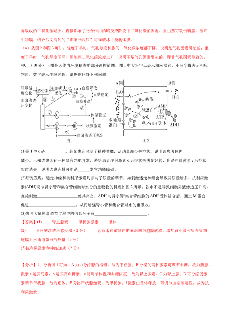 第八单元稳态与调节（测试）（解析版）_2024年新高考资料_1.2024一轮复习_2024年高考生物一轮复习讲练测（新教材新高考）