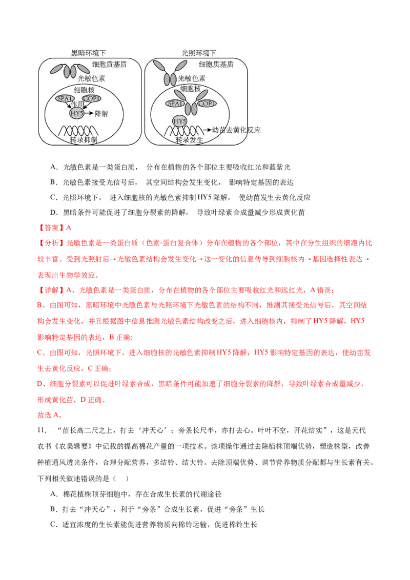 第八单元稳态与调节（测试）（解析版）_2024年新高考资料_1.2024一轮复习_2024年高考生物一轮复习讲练测（新教材新高考）