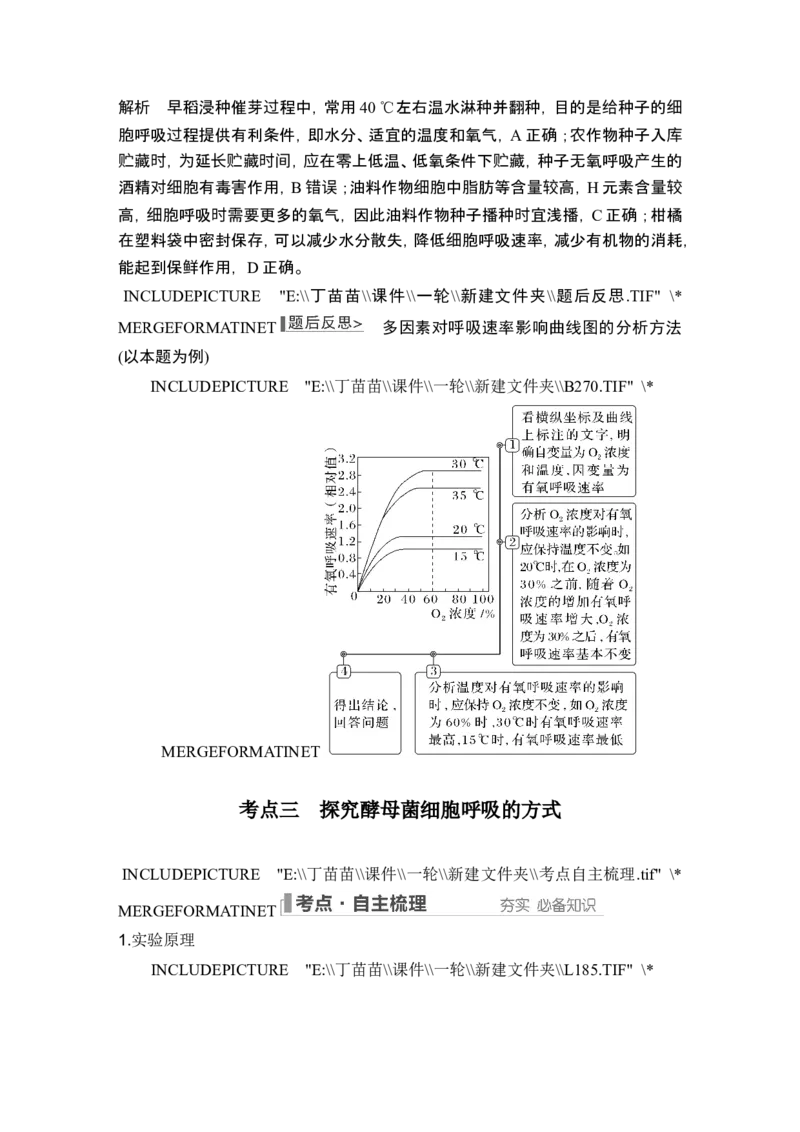 第8讲细胞呼吸_2024年新高考资料_1.2024一轮复习_2024年高考生物一轮复习讲义（新人教版）_另附1套Word版题库_必修1_第三单元细胞的能量供应和利用