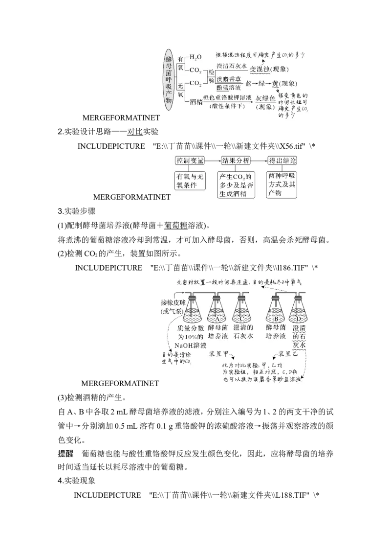第8讲细胞呼吸_2024年新高考资料_1.2024一轮复习_2024年高考生物一轮复习讲义（新人教版）_另附1套Word版题库_必修1_第三单元细胞的能量供应和利用