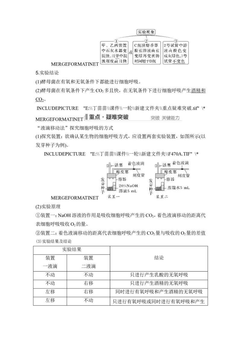 第8讲细胞呼吸_2024年新高考资料_1.2024一轮复习_2024年高考生物一轮复习讲义（新人教版）_另附1套Word版题库_必修1_第三单元细胞的能量供应和利用