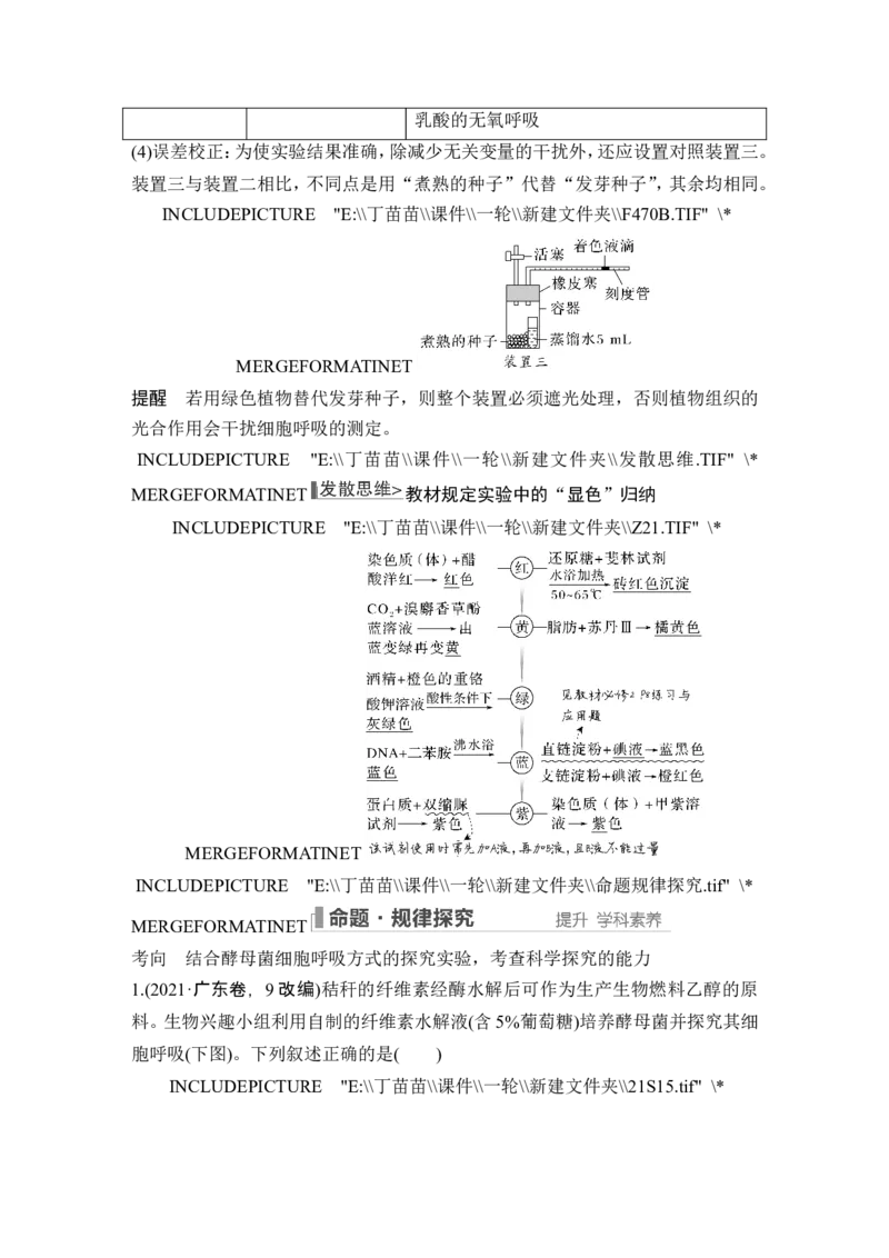 第8讲细胞呼吸_2024年新高考资料_1.2024一轮复习_2024年高考生物一轮复习讲义（新人教版）_另附1套Word版题库_必修1_第三单元细胞的能量供应和利用