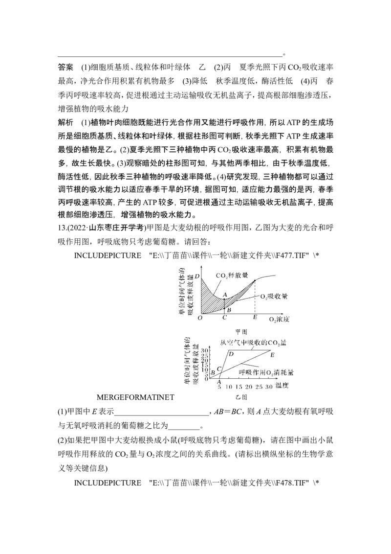 第8讲细胞呼吸_2024年新高考资料_1.2024一轮复习_2024年高考生物一轮复习讲义（新人教版）_另附1套Word版题库_必修1_第三单元细胞的能量供应和利用