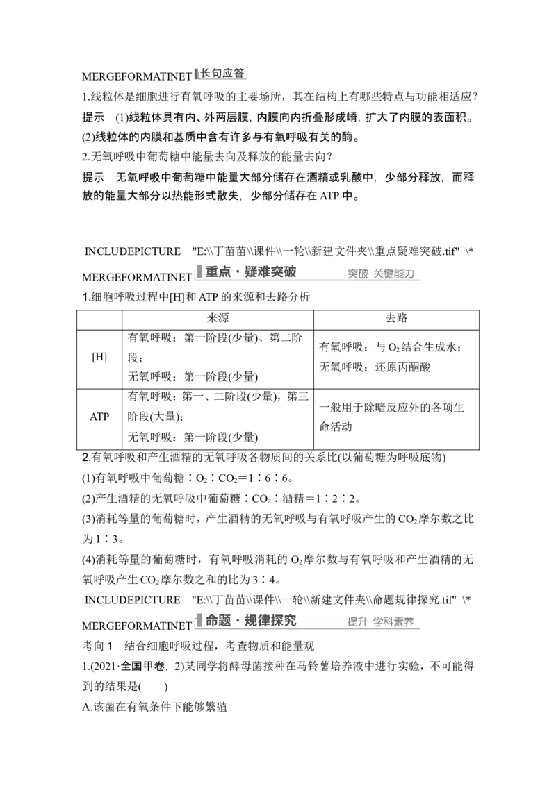 第8讲细胞呼吸_2024年新高考资料_1.2024一轮复习_2024年高考生物一轮复习讲义（新人教版）_另附1套Word版题库_必修1_第三单元细胞的能量供应和利用