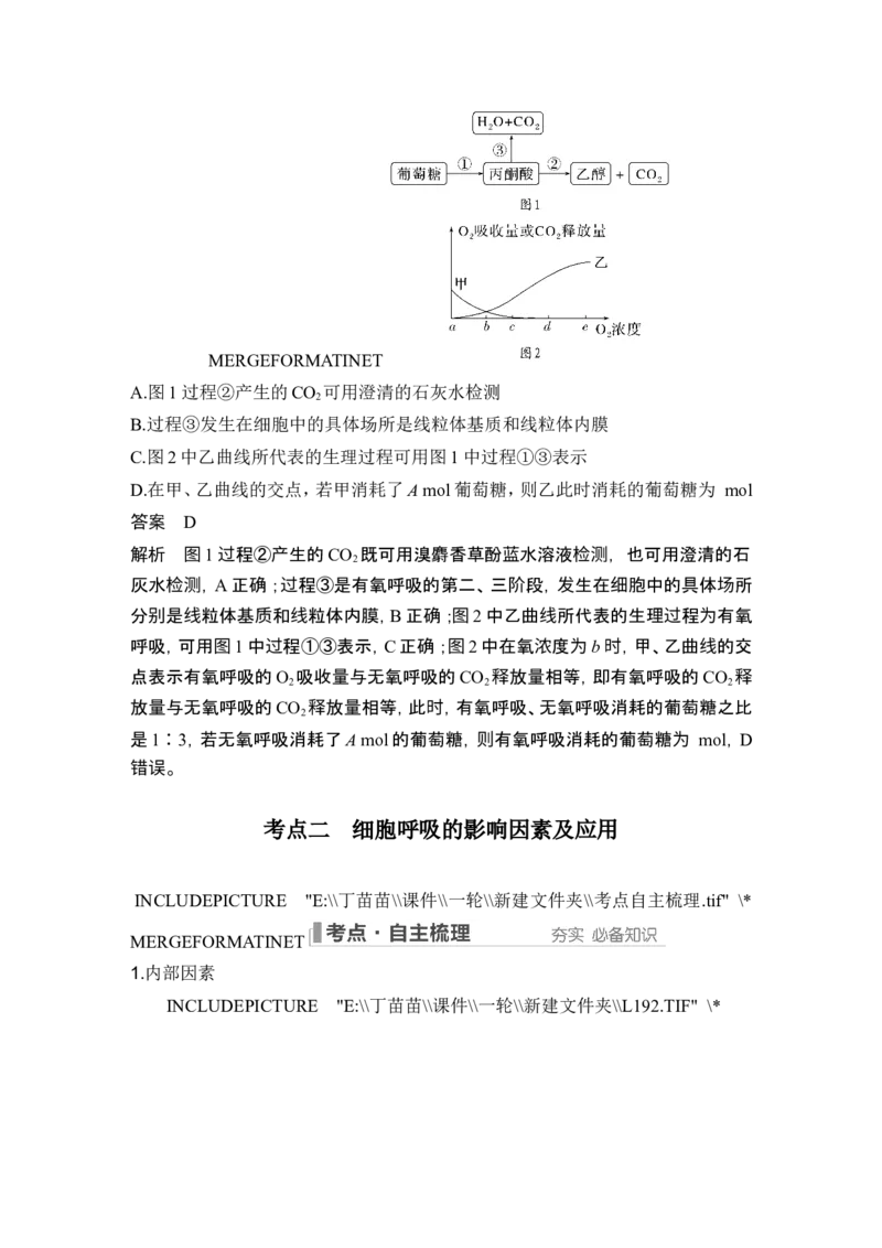 第8讲细胞呼吸_2024年新高考资料_1.2024一轮复习_2024年高考生物一轮复习讲义（新人教版）_另附1套Word版题库_必修1_第三单元细胞的能量供应和利用