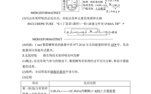 第8讲细胞呼吸_2024年新高考资料_1.2024一轮复习_2024年高考生物一轮复习讲义（新人教版）_另附1套Word版题库_必修1_第三单元细胞的能量供应和利用