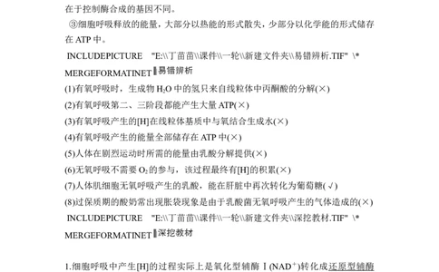 第8讲细胞呼吸_2024年新高考资料_1.2024一轮复习_2024年高考生物一轮复习讲义（新人教版）_另附1套Word版题库_必修1_第三单元细胞的能量供应和利用